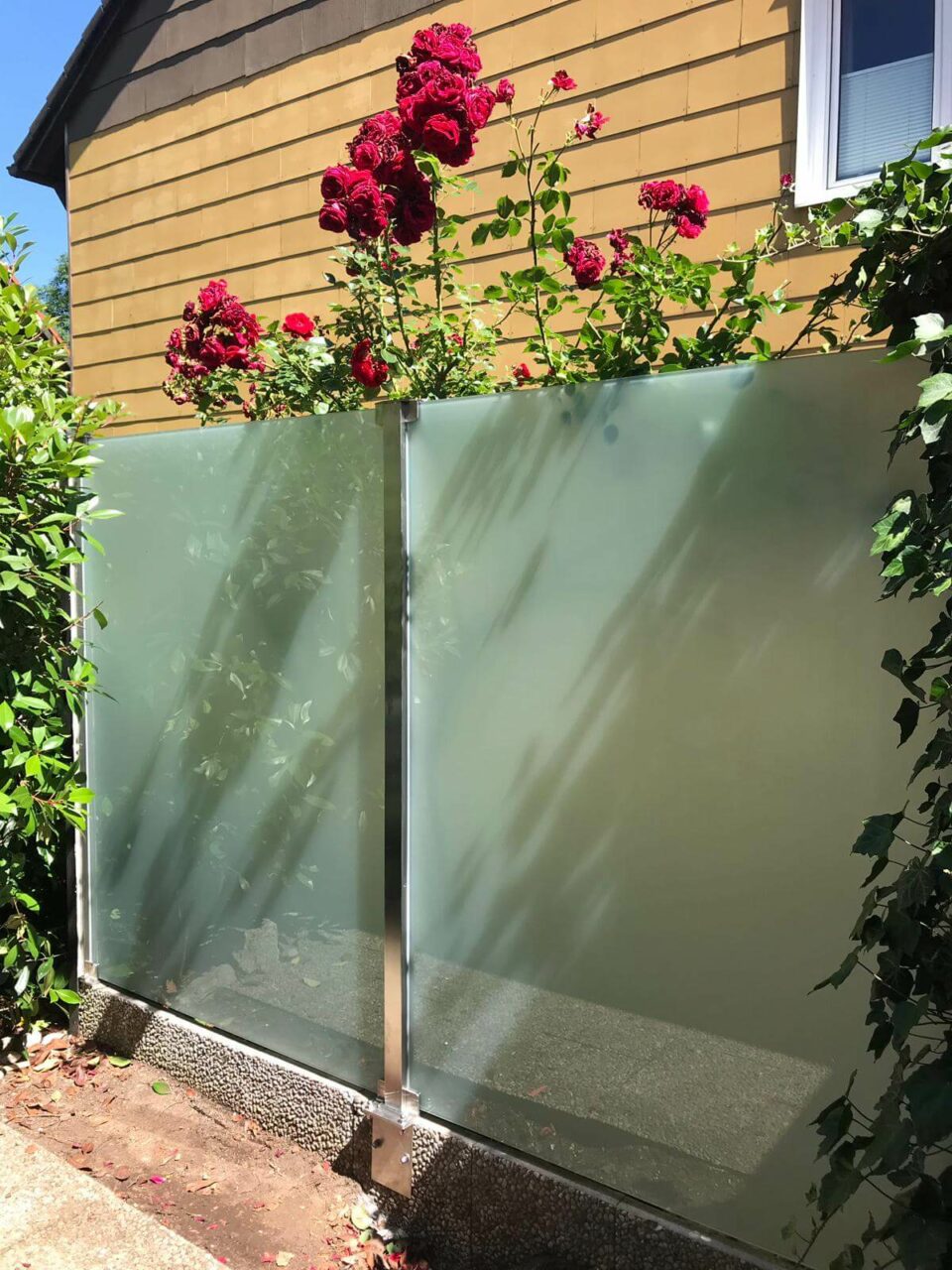 ᐅ Satiniertes Glas reinigen Die wirksamsten Mittel & Tipps